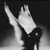 .mattisforgotten