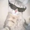 pipox_cz