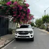 dngnguync045