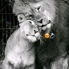 ayemne32baydh
