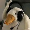 duck13105