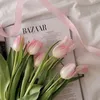 🕊️🤍 قرآن 🤍🕊️