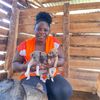 mary_animal_rescue