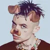 dislor_hlorka