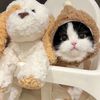 pet.inspector