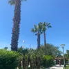ittzme_kathie
