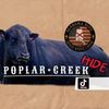poplarcreekhide