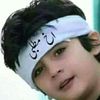 user088635433