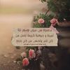 rawiaahmed502
