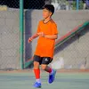 amnstaeo