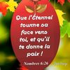 user3508152771822
