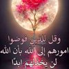 user2737533006136
