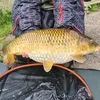 specky_who_fishes
