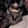 amory1431985