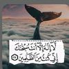 user7538853492678