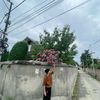 s.tun30