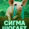 vladiksbs