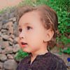 gul.waleed5