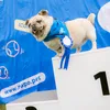 littlelegs218