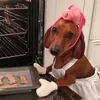 wienerdog090