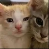 thanosmybaby5dn0