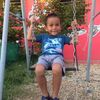 elian271711