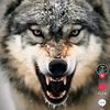 lotfi2255lotfilotf
