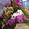 thanh.nguyn2657