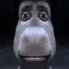 ykdmhfktd