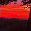lavender_rains4