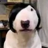 yuukkip