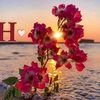 hano22_3