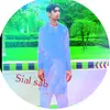 habibullah.sial.s