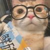 maytharoo151gmail.com