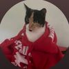 will_lilbiscut