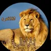 user7312966131522