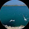 user19617007338110