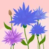 louiseturnbull8
