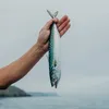 Pesky Fish