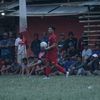 singo.edan314