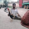 shahido.wala7
