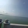 hoangthinh69