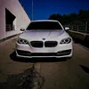 whitef_10