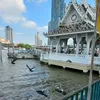 thuy.tran2137