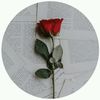 user5839221616571