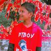 rohitvai89