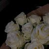 user4728009068358