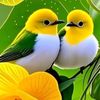 marium.samira