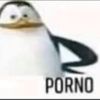 adamagiba.com
