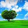 user2058715271443
